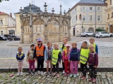 Obrázek v galerii