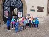 Obrázek v galerii