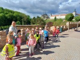 Obrázek v galerii