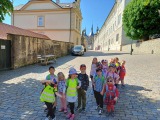 Obrázek v galerii