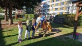 Obrázek v galerii