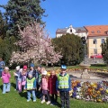 Obrázek v galerii