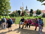 Obrázek v galerii