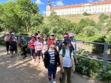 Obrázek v galerii