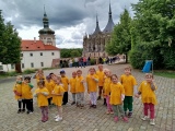 Žlutá kytička na SPORTOVNÍM DNU V ZAHRADÁCH GASK