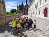 Obrázek v galerii