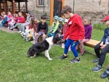 Obrázek v galerii