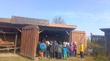 Obrázek v galerii
