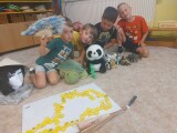Obrázek v galerii