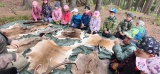Lesní pedagogika