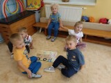 Obrázek v galerii