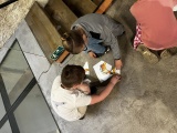 Obrázek v galerii