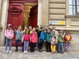 Obrázek v galerii