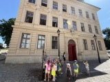 Obrázek v galerii