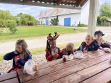 Obrázek v galerii