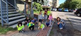 Kopretinka plná radosti II