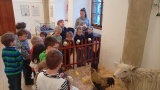 Obrázek v galerii